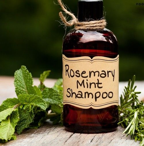 domácí bylinný šampon